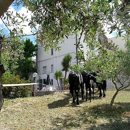 Bed & Breakfast Le Sorbole Matera