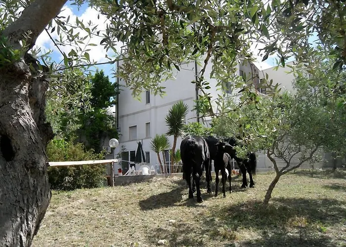 Bed and breakfast Le Sorbole